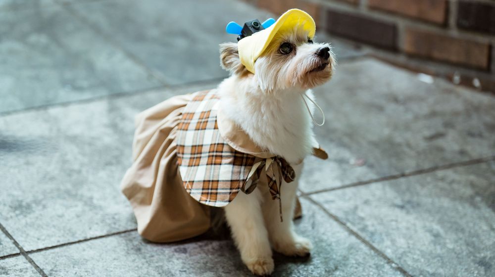 KakaoTalk_Photo_2023-09-15-09-46-09 003 (1).jpeg