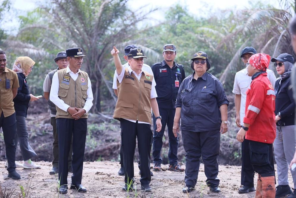 Menteri LHK Pastikan Perusahaan Sebabkan Karhutla Disanksi Hukum