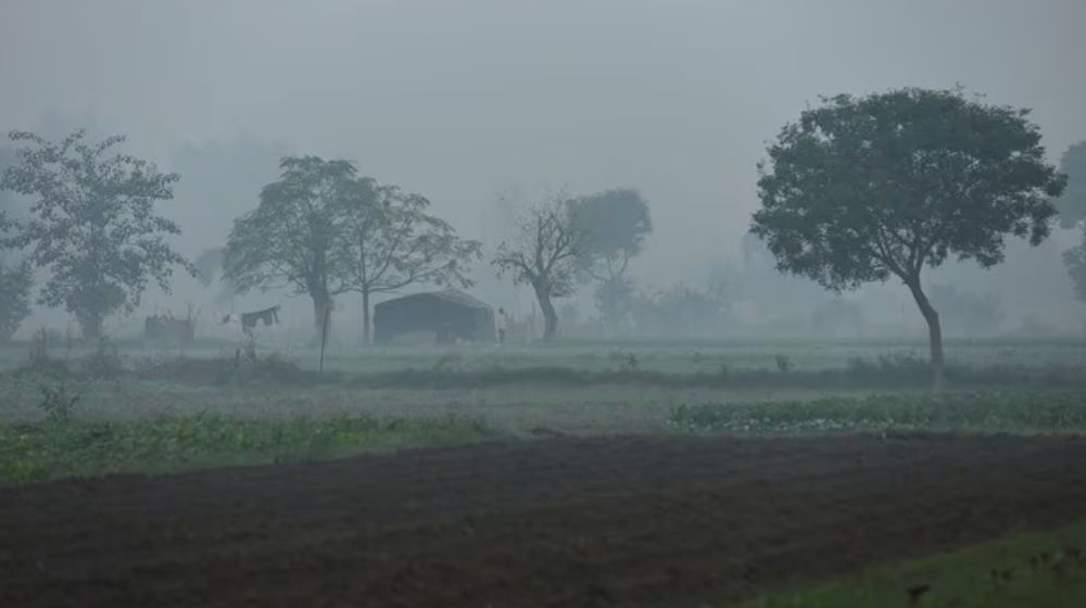 Seorang Pria Terlihat di Lapangan di Dataran Banjir Yamuna pada Suatu Pagi yang Berkabut di New Delhi