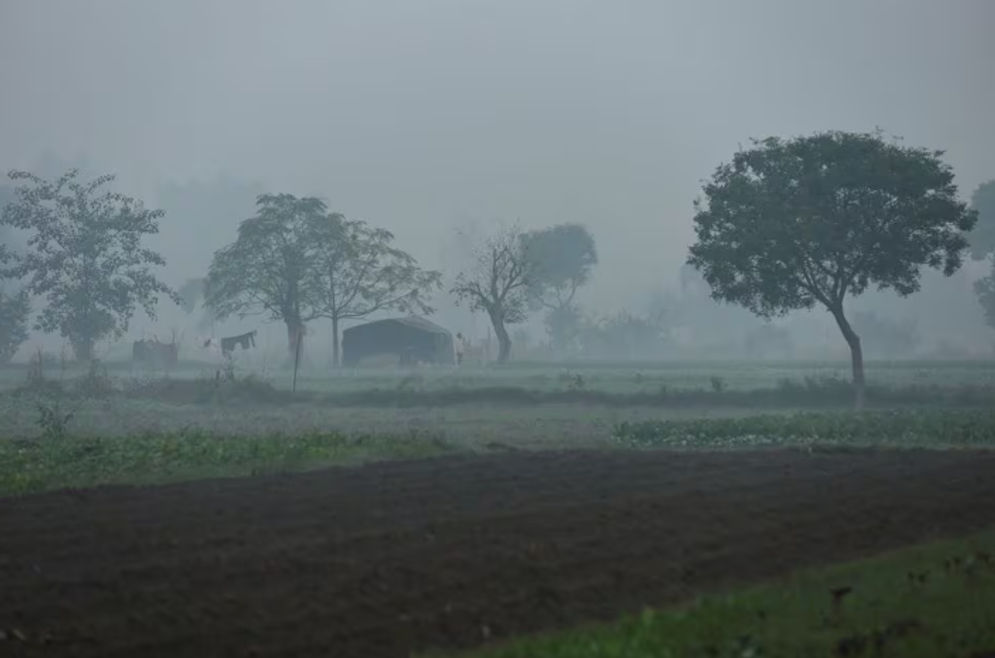 Seorang Pria Terlihat di Lapangan di Dataran Banjir Yamuna pada Suatu Pagi yang Berkabut di New Delhi