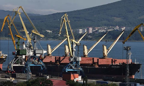 Pengangkut Curah Yan Dun Jiao 1 di Pelabuhan Peti Kemas Vostochny di tepi Teluk Nakhodka (Reuters/Tatiana Meel)