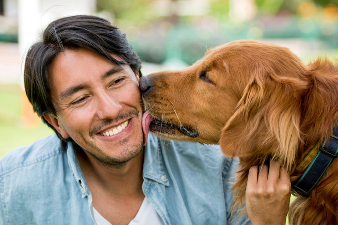 Anjing dan Pemiliknya