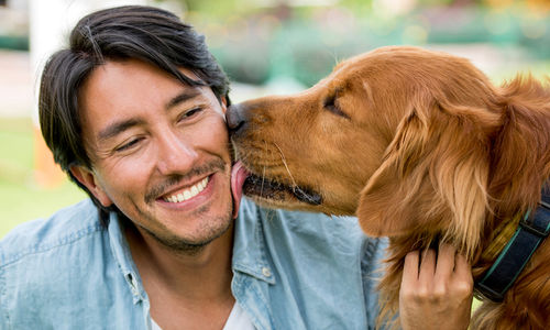 Anjing dan Pemiliknya