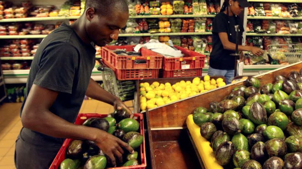 Para Pekerja Mengemas Alpukat di Sebuah Toko Pasar Buah dan Sayuran di Harare, Zimbabwe