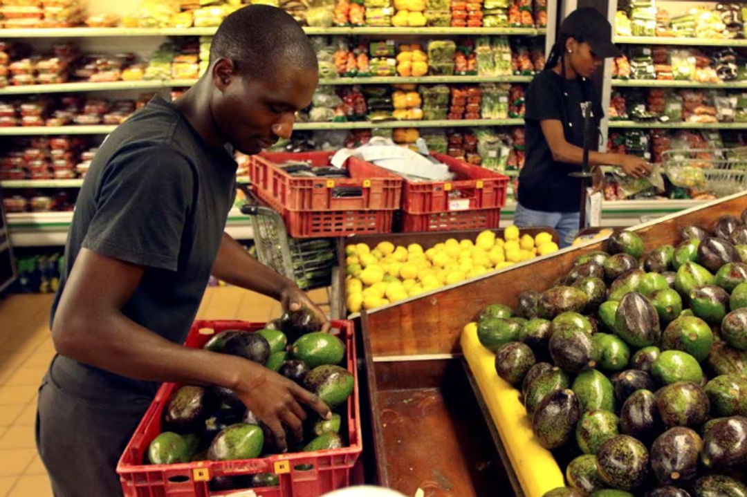 Para Pekerja Mengemas Alpukat di Sebuah Toko Pasar Buah dan Sayuran di Harare, Zimbabwe (Reuters/Philimon Bulawayo)