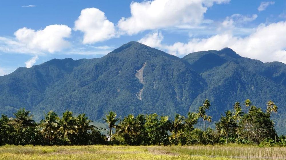 Cagar Alam Pegunungan Cycloop.jpg