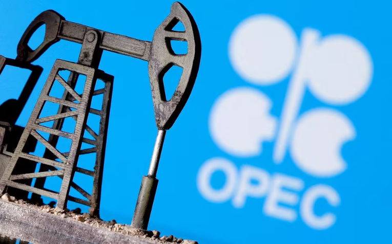 Logo OPEC (Reuters/Dado Ruvic)