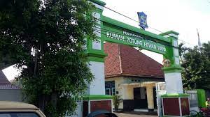 Rumah Pemotongan Hewan di Kota Surabaya. 