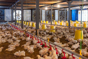 3.8c86bf9af0d56237df7c (1).jpg