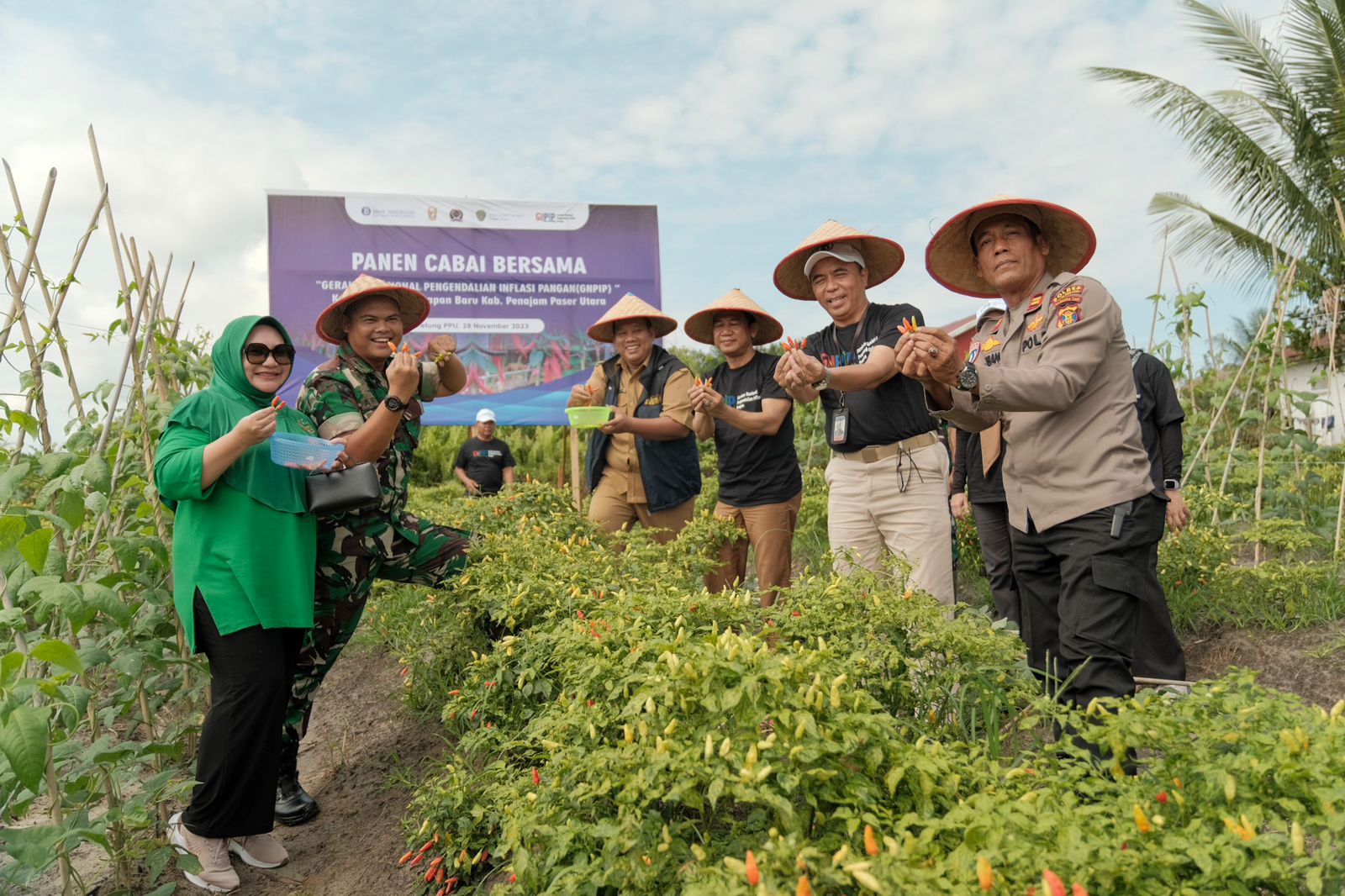 Kendalikan Inflasi Dengan Tanam Cabai Bi Balikpapan Kolaborasi Kodim Dan Pemkab Ppu 