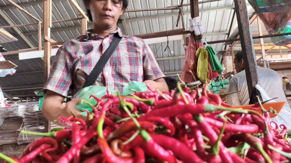 Harga Cabai Makin Pedas, di Palembang Rp 110 Ribu/Kg