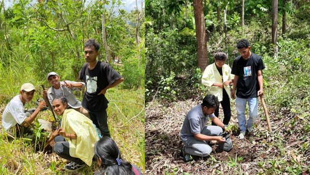 Mahasiswa STPM Santa Ursula-Ende Terangi Desa Wolotolo dengan Aksi Reboisasi: 'Cinta Alam dalam Aksi Nyata'
