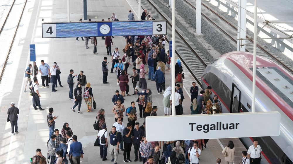 WhatsApp Image 2023-12-08 at 10.50.10.jpeg