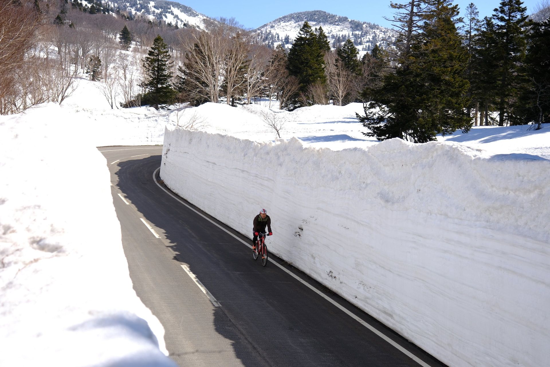 Koridor dinding salju setinggi sekitar 8 meter di Aomori, Jepang