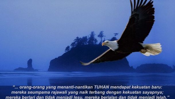 KALENDER LITURGI KATOLIK, Rabu, 13 Desember 2023: Bacaan I Yes 40: 25-31