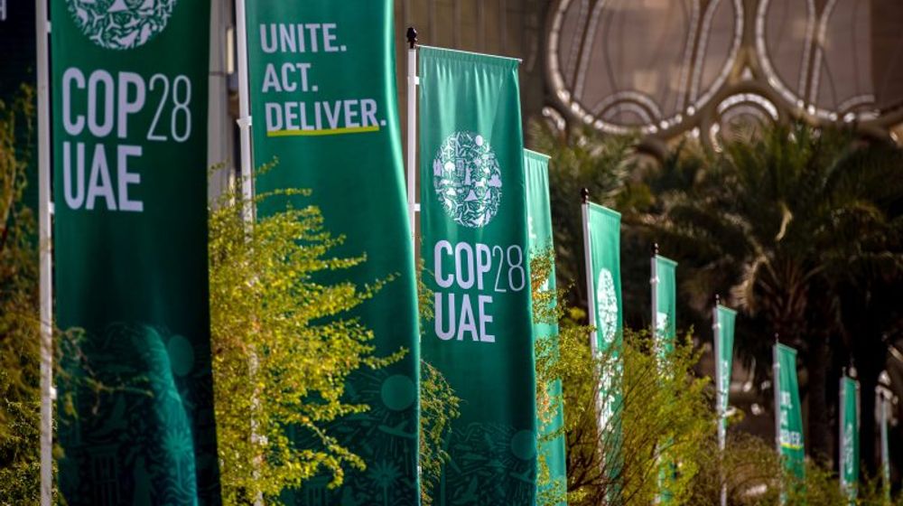 COP28-flags-800x450.jpg