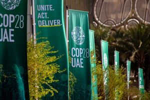 COP28-flags-800x450.jpg
