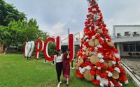 Pcu pohon natal.jpeg