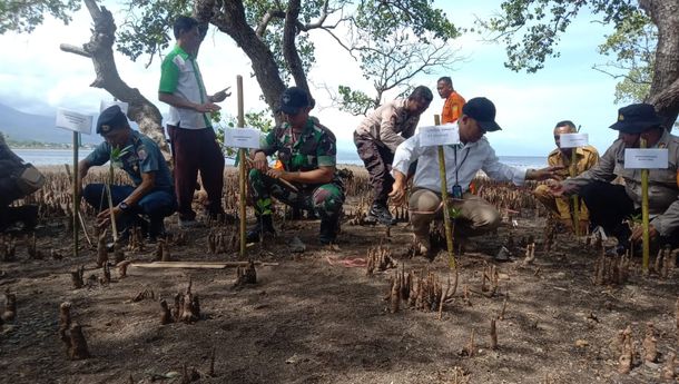 Cegah Abrasi di Wilayah Pesisir Pantai PT Pelindo (Persero) Cabang Maumere Bersatu Tanam 5000 Bibit Mangrove