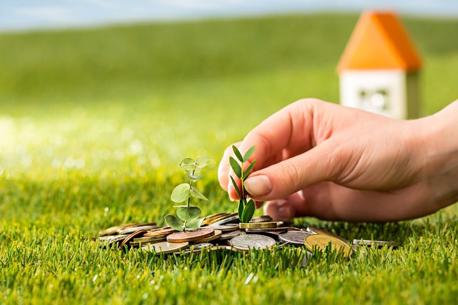 plant-growing-coins-glass-jar-money-green-grass.jpg