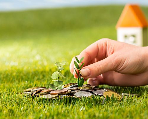 plant-growing-coins-glass-jar-money-green-grass.jpg