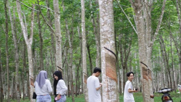 HUT ke-2 FKPPIB, Peserta Lomba Fotografi Antusias Berburu Objek di Kebun Karet