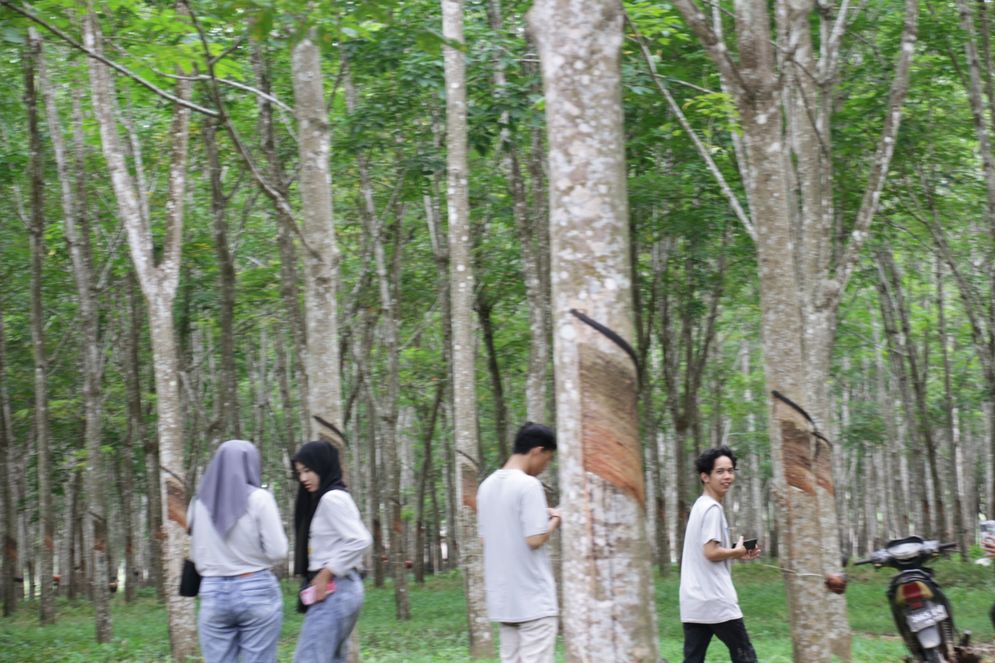 Sebanyak 52 anak muda berburu objek gambar terbaik di seputaran Kantor Afdeling I PTPN I Regional 7 Unit Kedaton di Sabah Balau, Lampung Selatan, Sabtu (23/12/2023).