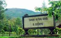 A-BATU.jpg