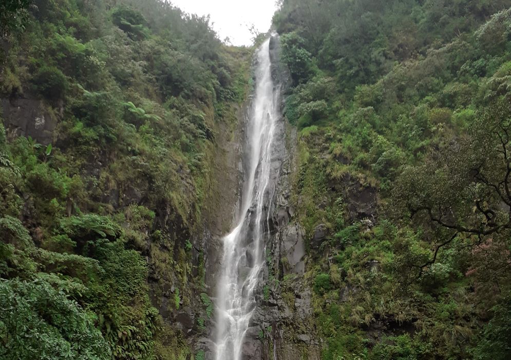 Nikmati Panorama Alam Gunung Wilis