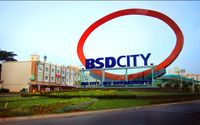 BSD-City-New-Cities-Foundation.jpg