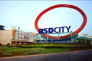 BSD-City-New-Cities-Foundation.jpg