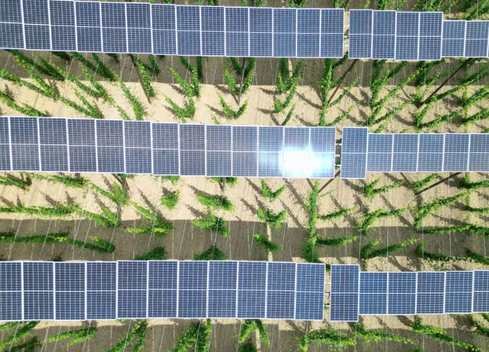 Panel surya terlihat di atas perkebunan hop di wilayah Bavarian Holledau di Au, Jerman (Reuters/Louisa Off)