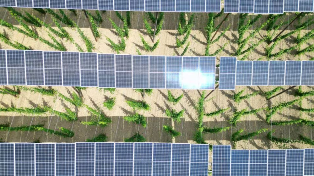 Panel surya terlihat di atas perkebunan hop di wilayah Bavarian Holledau di Au, Jerman