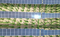 Panel surya terlihat di atas perkebunan hop di wilayah Bavarian Holledau di Au, Jerman