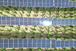 Panel surya terlihat di atas perkebunan hop di wilayah Bavarian Holledau di Au, Jerman