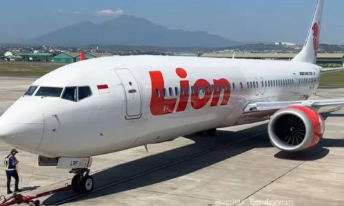 A-LION.JPG