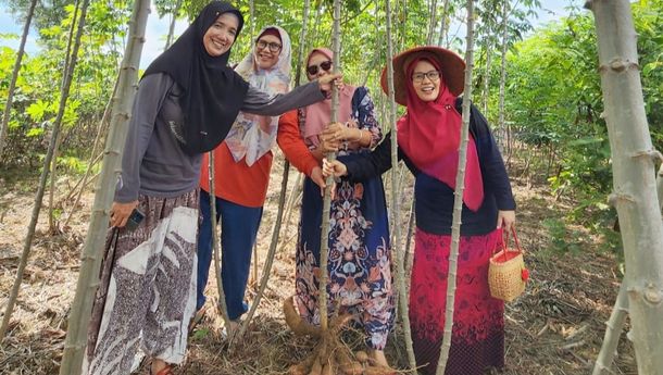 Kampanye Diversifikasi Pangan, Kagama Panen Singkong Makan