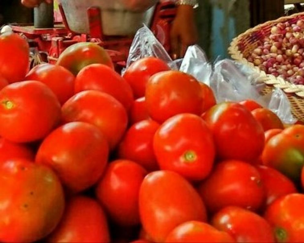 Harga Tomat di Pasar Tradisional Palembang Masih Mahal, Rp 24 Ribu per Kilogram