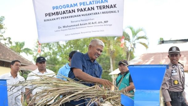 Ratusan Mitra Binaan PTPN I Regional 5 Ikuti Pelatihan Pembuatan Pakan Ternak