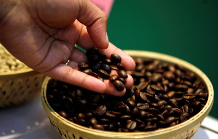 Seorang pengunjung memeriksa biji kopi di 'International Coffee Festival 2007' di kota Bangalore, India selatan (Reuters/Jagadeesh Nv (INDIA))