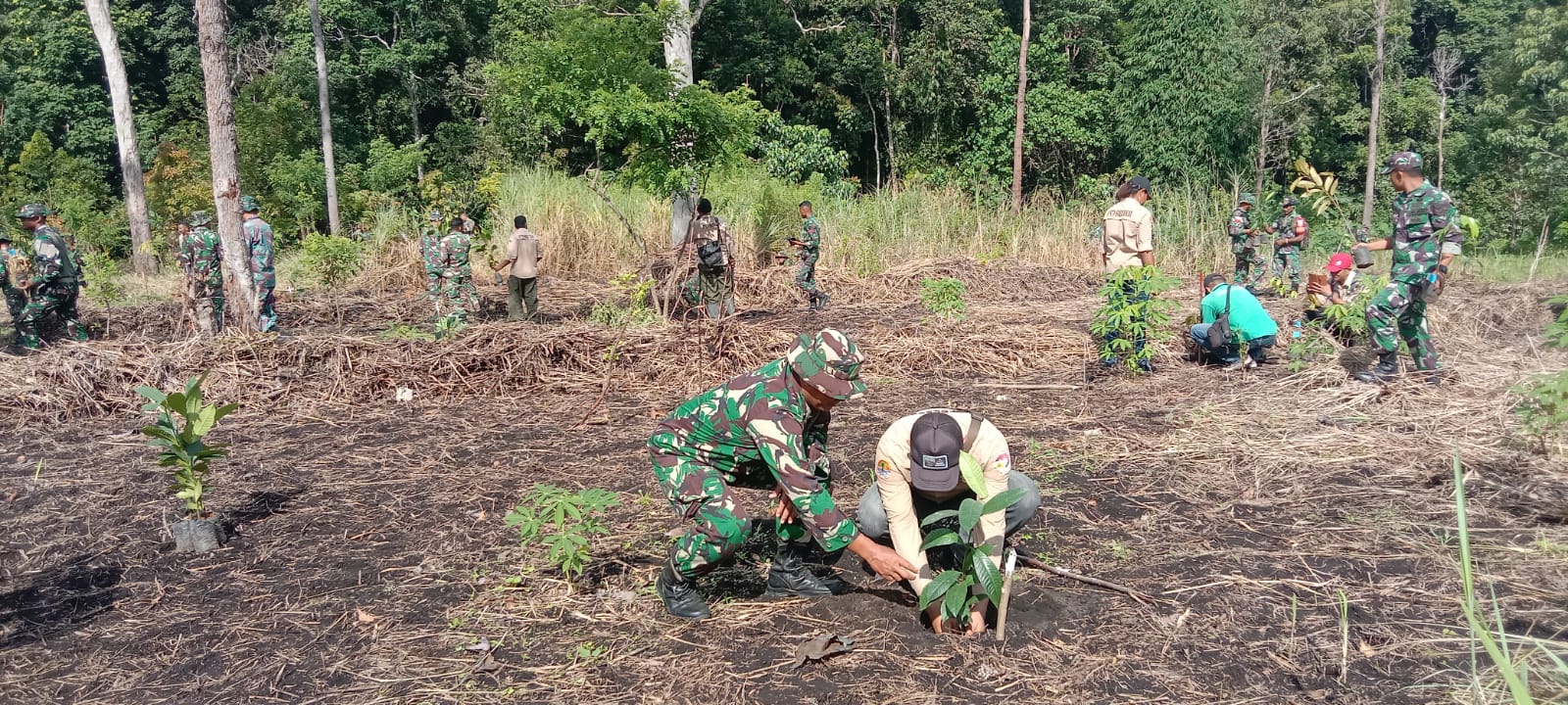 Dandim 1603/Sikka Pimpin Kegiatan Penghijauan Di Hutan Lindung Egon ...