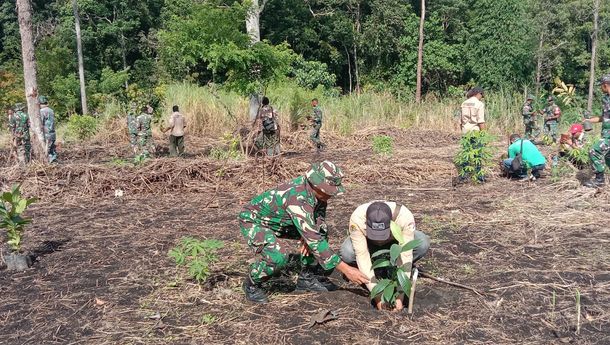 Dandim 1603/Sikka Pimpin Kegiatan Penghijauan di Hutan Lindung Egon Ilimedo