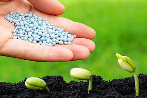 Pupuk-Anorganik-ya.jpg