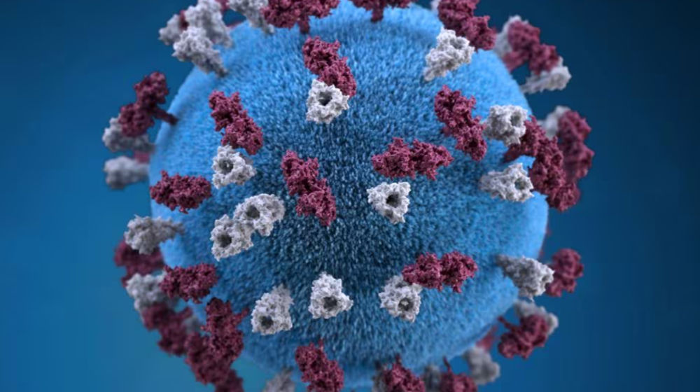 Ilustrasi memberikan representasi grafis 3D dari partikel virus campak berbentuk bola bertabur tuberkel glikoprotein