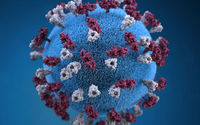 Ilustrasi memberikan representasi grafis 3D dari partikel virus campak berbentuk bola bertabur tuberkel glikoprotein