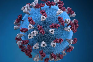 Ilustrasi memberikan representasi grafis 3D dari partikel virus campak berbentuk bola bertabur tuberkel glikoprotein