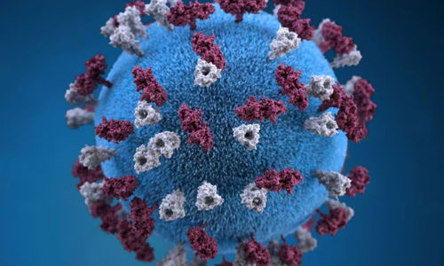 Ilustrasi memberikan representasi grafis 3D dari partikel virus campak berbentuk bola bertabur tuberkel glikoprotein