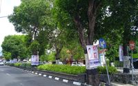 jpw pohon.jpg