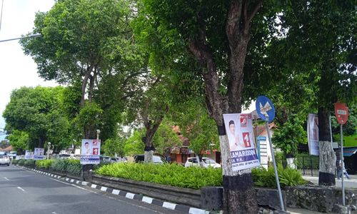 jpw pohon.jpg