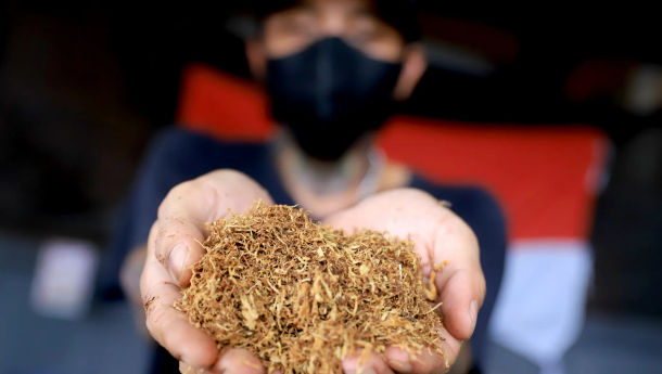 Pedagang: Rakyat Bisa Gulung Tikar Dampak Pasal-Pasal Tembakau di RPP Kesehatan